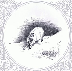 山うさぎ』（ブッククラブアソシエイツ刊