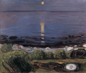 ビーチの夏の夜