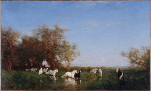 カマルグの野生の馬、1890年から1895年の間（油彩・カンヴァス）