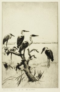 サギの休息