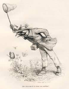 蝶を追う鳥。JJ Granvilleが描いたヴィネット。エングレーヴィングには、Charles Nodierが "Scenes de la vie privee et publique des animaux "の中で書いた "Un renard pris au piege "という部分にAndrew、Best、Leloirのサインが入っています。パリ、J.Hetzel