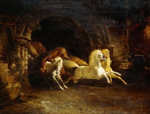 ダンカンの馬、1842