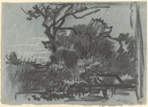 森の情景