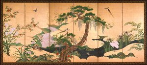 春と夏の鳥と花