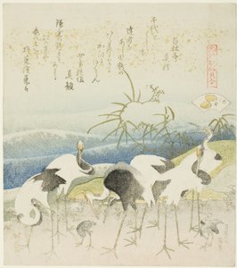 「元禄歌仙貝合わせ」シリーズより 葦貝（あしがい）の挿絵 岸辺の鶴