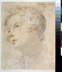 男の子の頭。 Matteo Rosselli (1578-1650) による絵画。 紙にチョークと赤チョーク