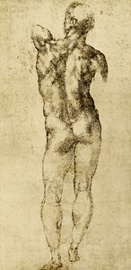 男性ヌード