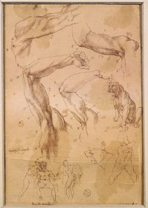 Ms H 184 fol.202育てられた腕、野生の猫および一群の人物の研究