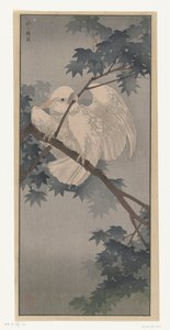 木の黄色紋付きオウム