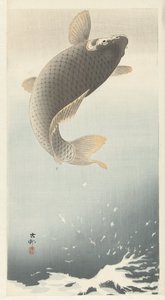 鯉
