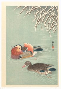 オシドリ 作： 大原光子