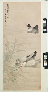 アヒル、1885年