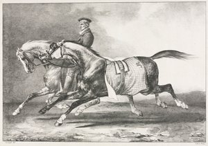 1822年に運動した2つのまだらの馬