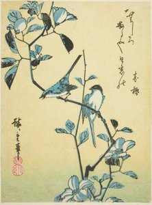 ツバキの枝の鳥