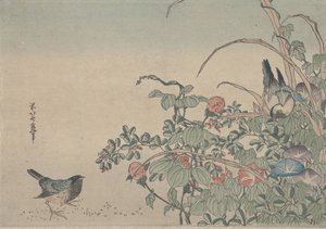 アサガオとレスペデザのブルーバード、1833年頃 作： 歌川広重
