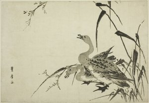 雁と葦