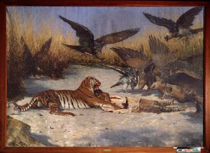 マンイーター - Vasili Vasilyevich Vereshchagin (Vassili Vereshchagin) (1842-1904) による絵画、キャンバスに油彩、1870-1880 年頃、ロシア美術 19 世紀 - 地域 W Wereshchagin Art Museum、ミコラーイウ (ウクライナ)