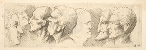 頭の研究、1625-77