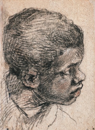 ニグロの少年の頭、パオロ・カリアリ（ヴェロネーゼ）（1528-1588）、デッサン 作： ヴェロネーゼ