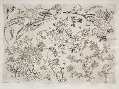 ディナーサービスルソーサービス：花なし。 23、1866。 作： フェリックス・ブラクモンド