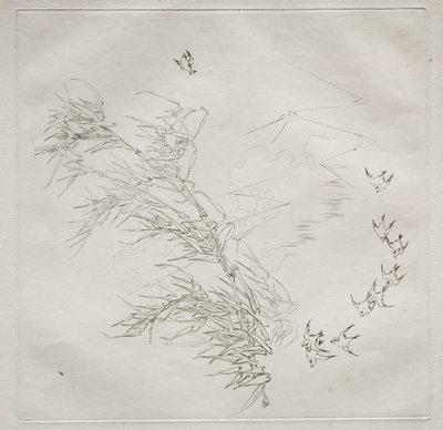 Parisian Service Haviland service：The Storm no。 1875年8月。 作： フェリックス・ブラクモンド