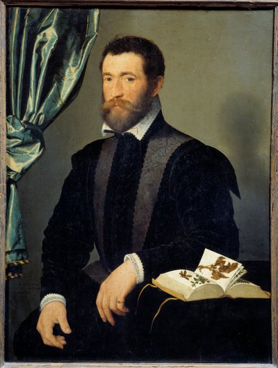 薬屋の肖像 ピエール・キュート (1519-apres 1588) フランソワ・クリュエ (1515-1572) の絵画 1562年日。0,91x0,7 m - 薬屋ピエール・クテ（1519- ca1588）の肖像。フランソワ・クリュエ（1515-1572）の絵画 作： フランソワ・クルーエ